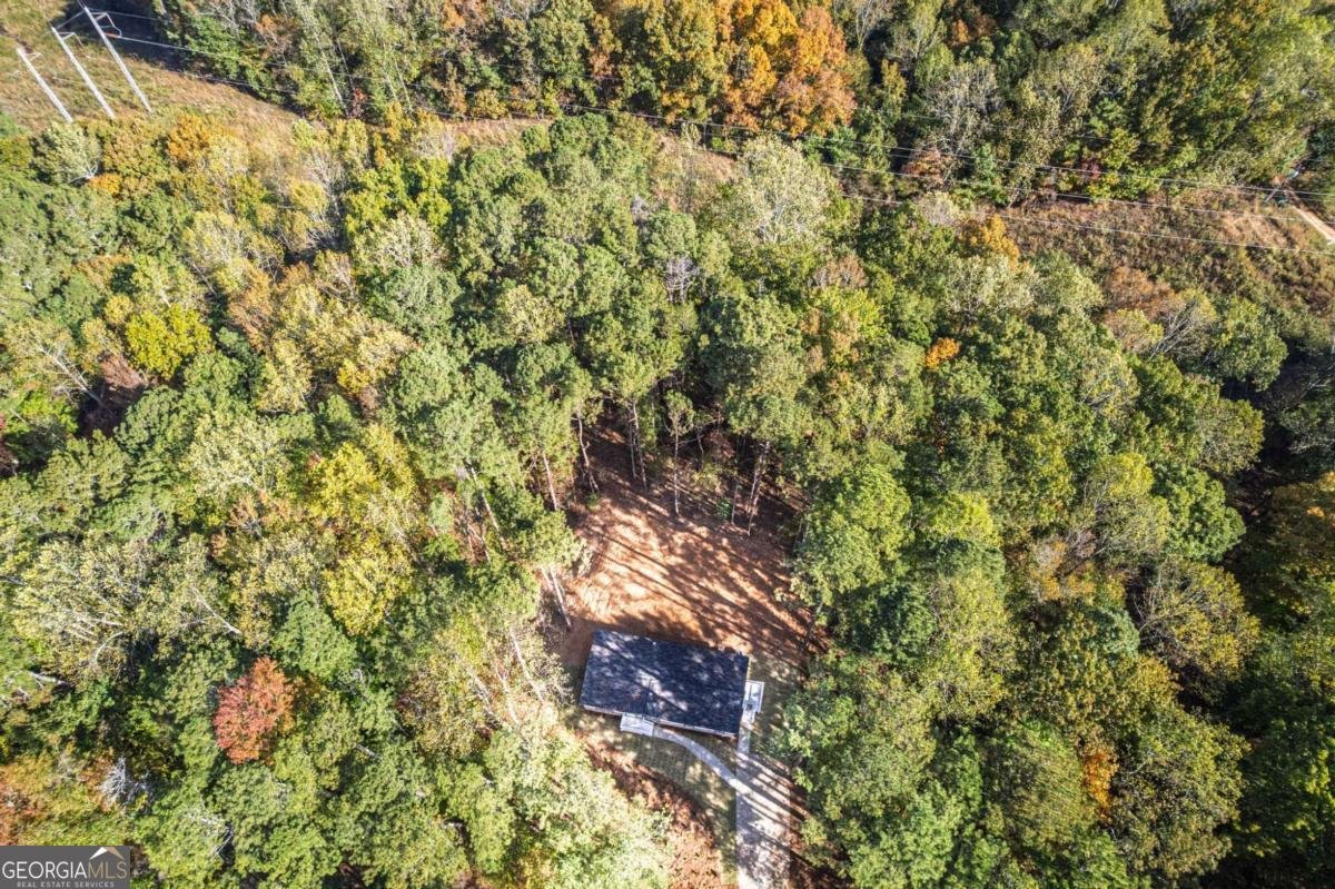 396 Plum Lane Jasper - 38