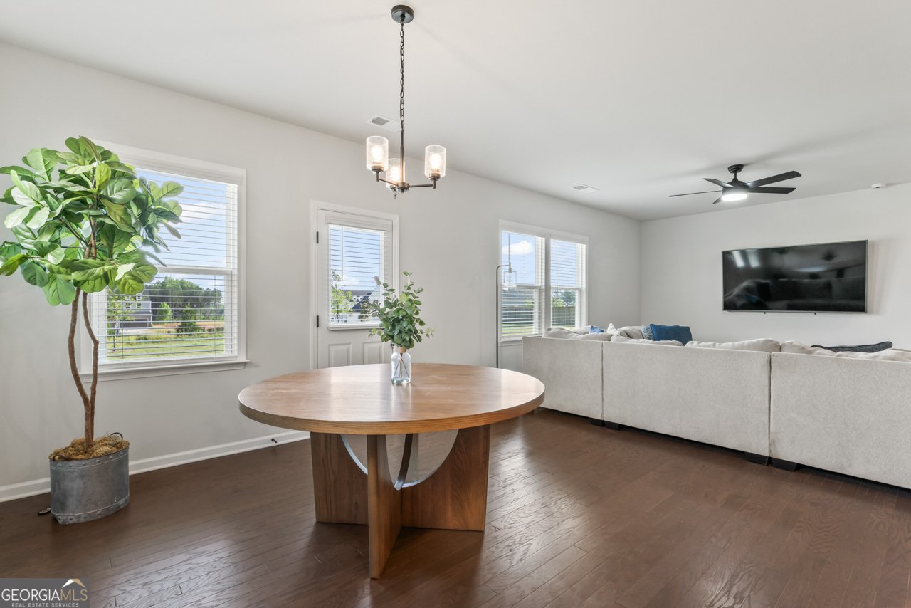 221 Begonia Way Mcdonough - 11