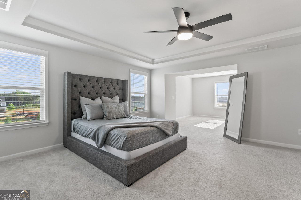 221 Begonia Way Mcdonough - 18