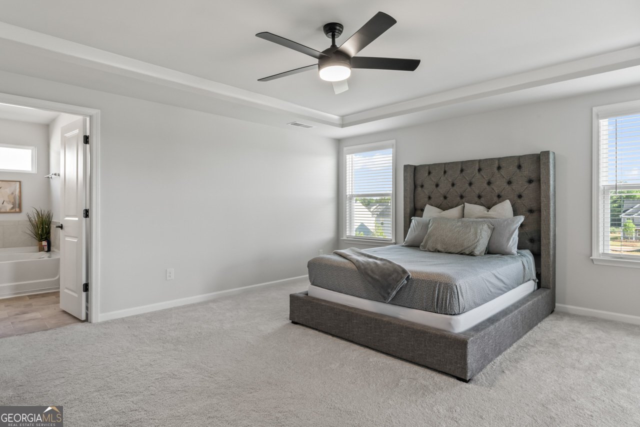 221 Begonia Way Mcdonough - 19