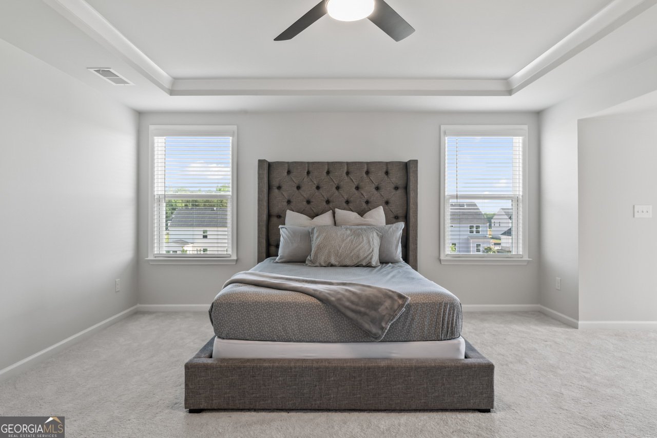 221 Begonia Way Mcdonough - 20