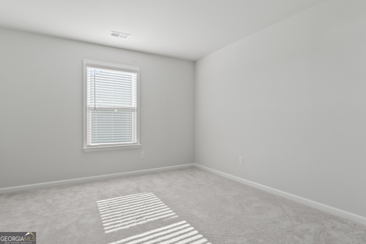 221 Begonia Way Mcdonough - 21