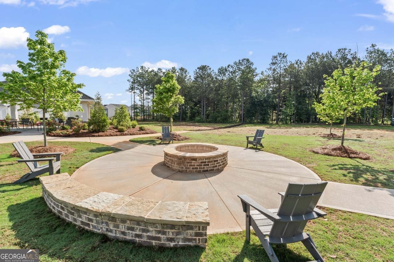 221 Begonia Way Mcdonough - 35