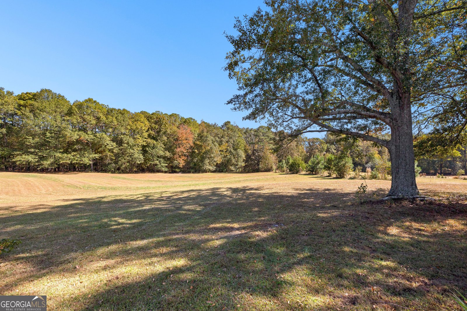 6535 Ridgeway Road Franklin - 13