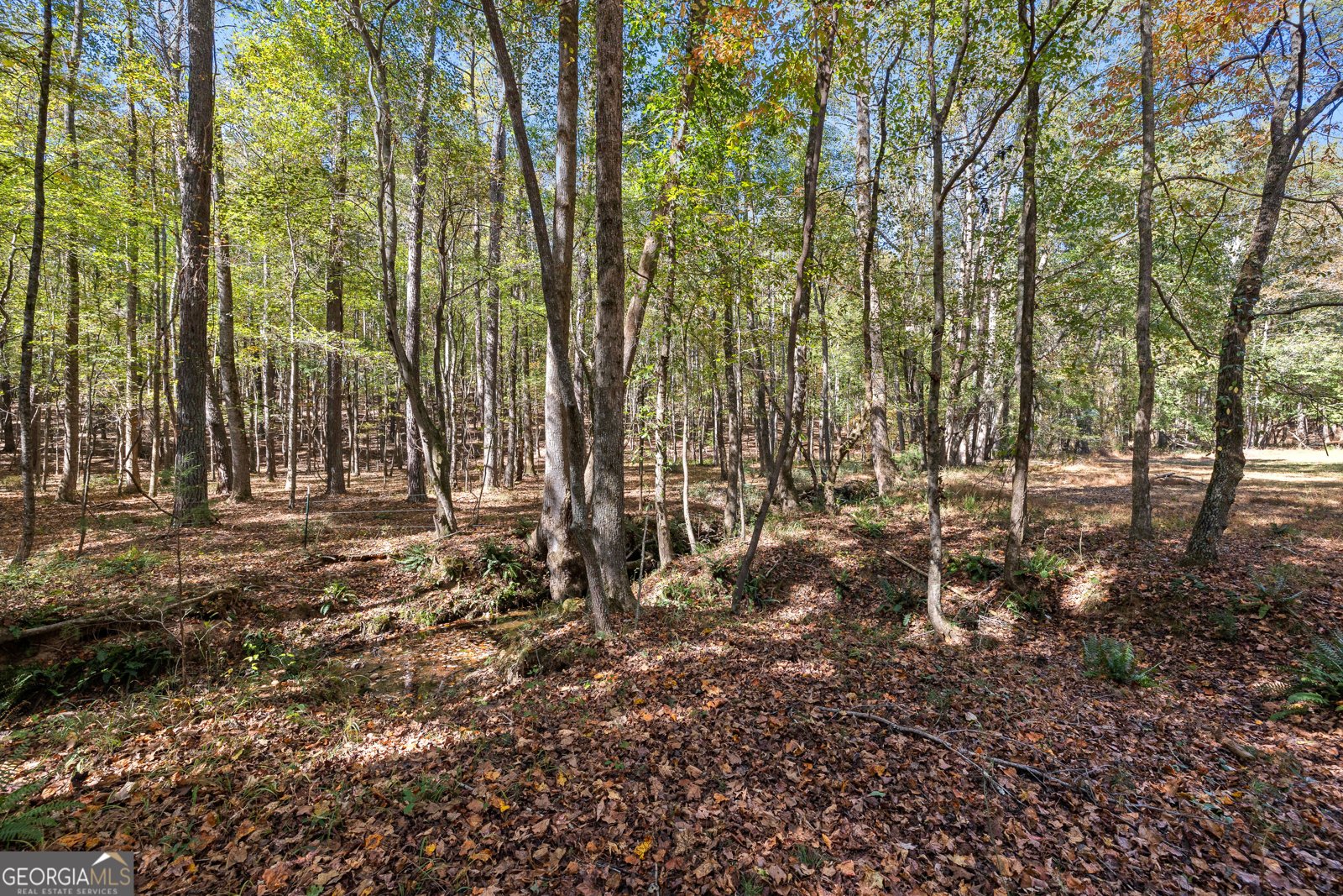 6535 Ridgeway Road Franklin - 16