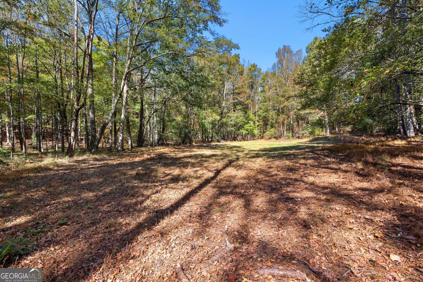 6535 Ridgeway Road Franklin - 17