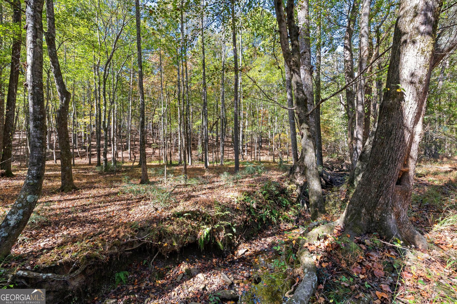 6535 Ridgeway Road Franklin - 18