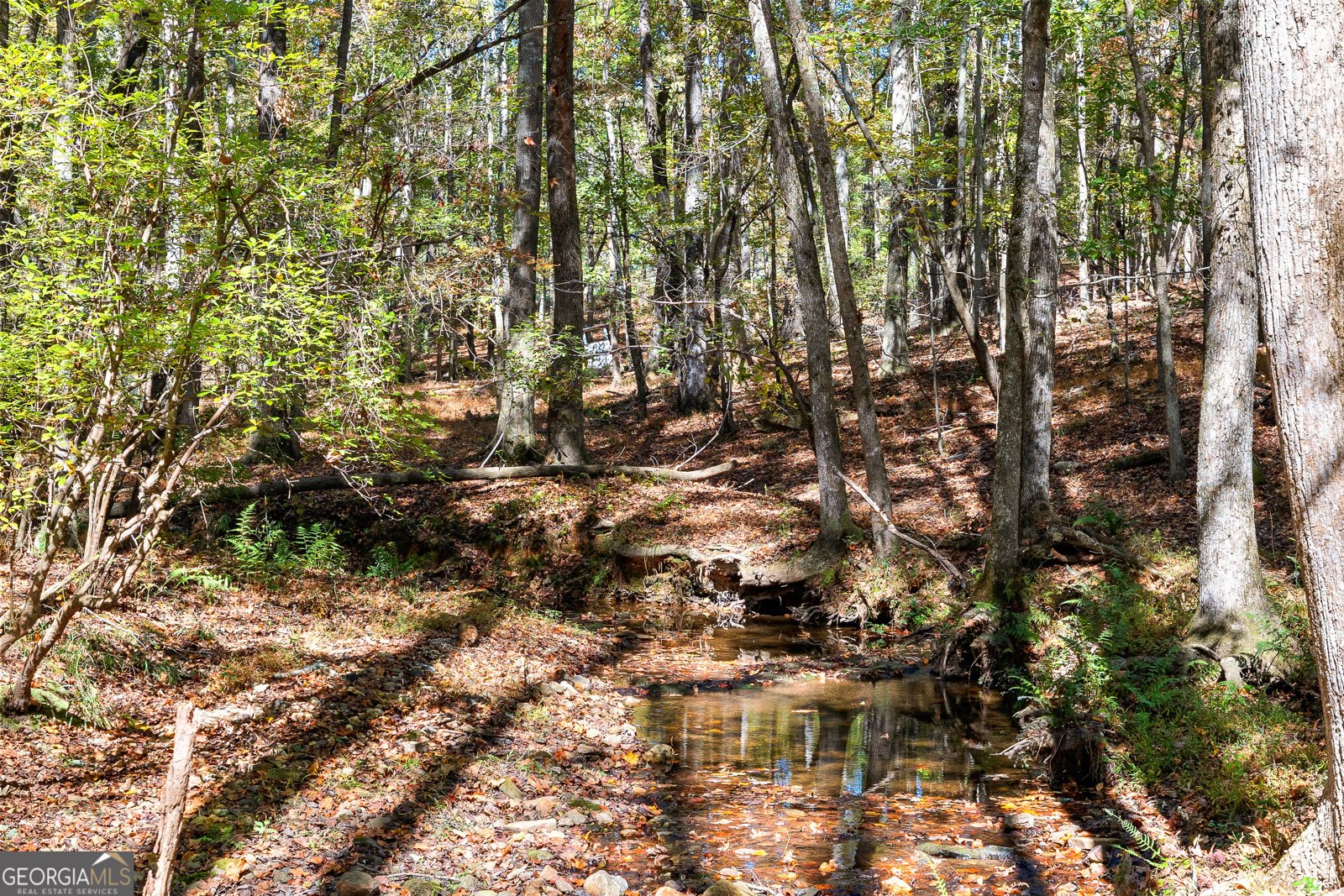 6535 Ridgeway Road Franklin - 19