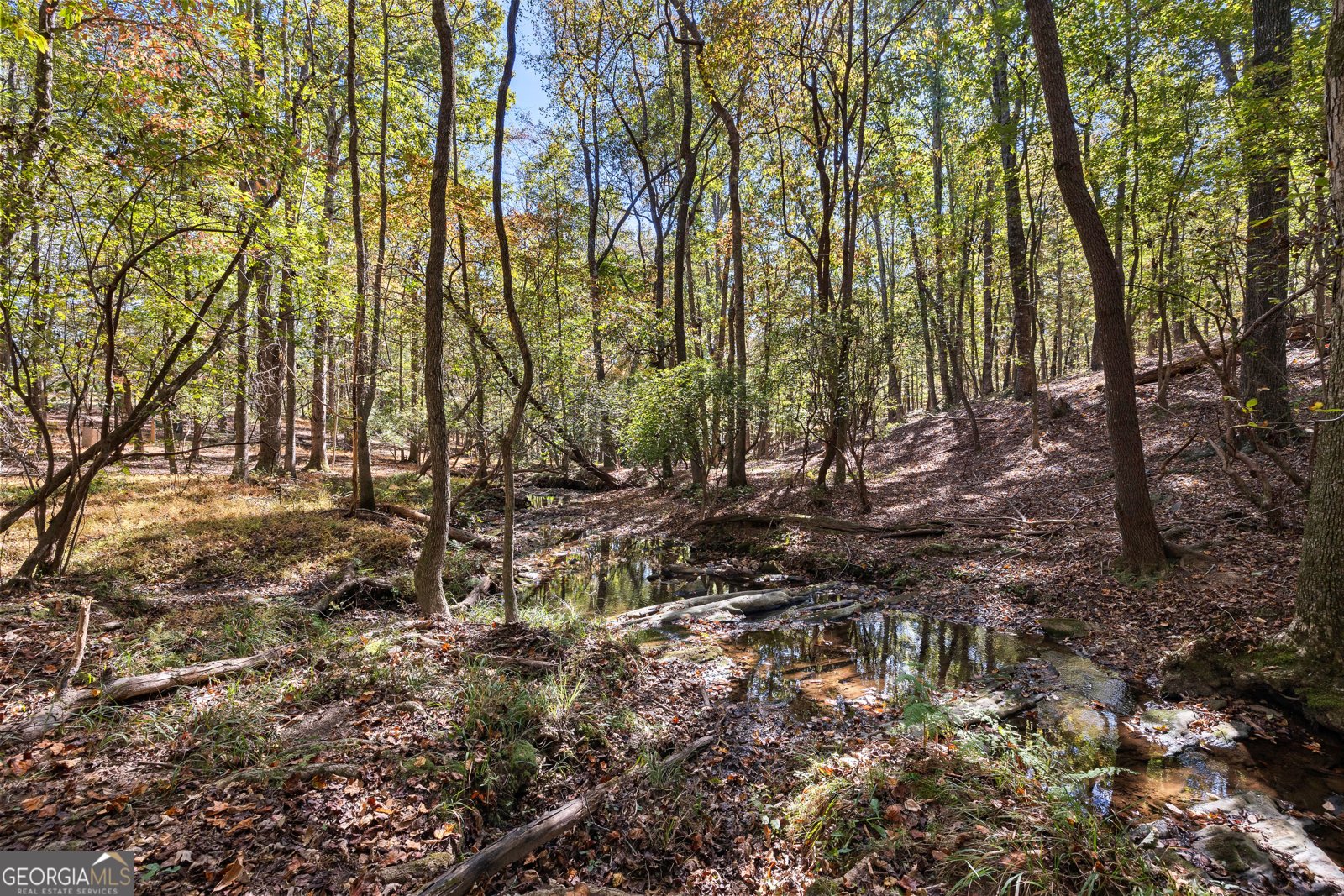 6535 Ridgeway Road Franklin - 20