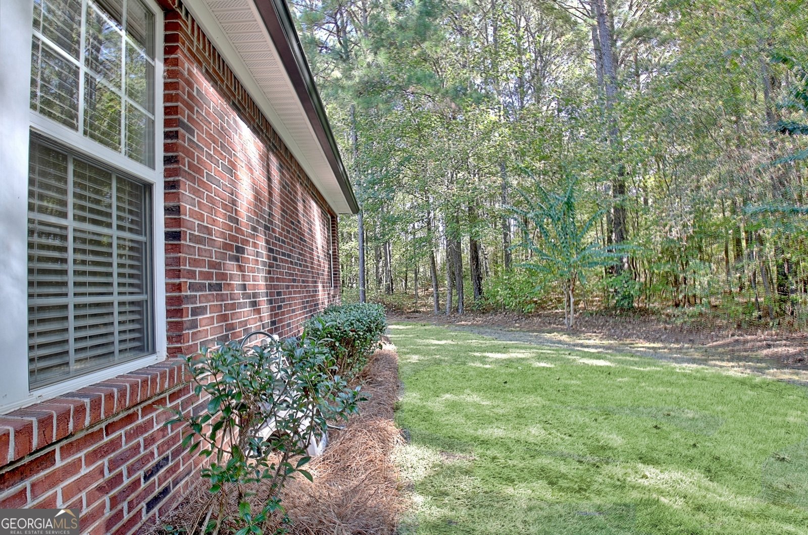 10 Posey Ridge Court Newnan - 2