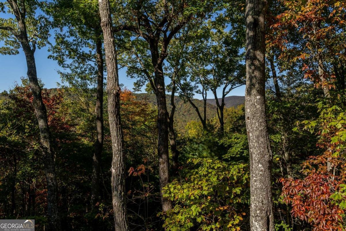 357 Skyline Drive Cherry Log - 49