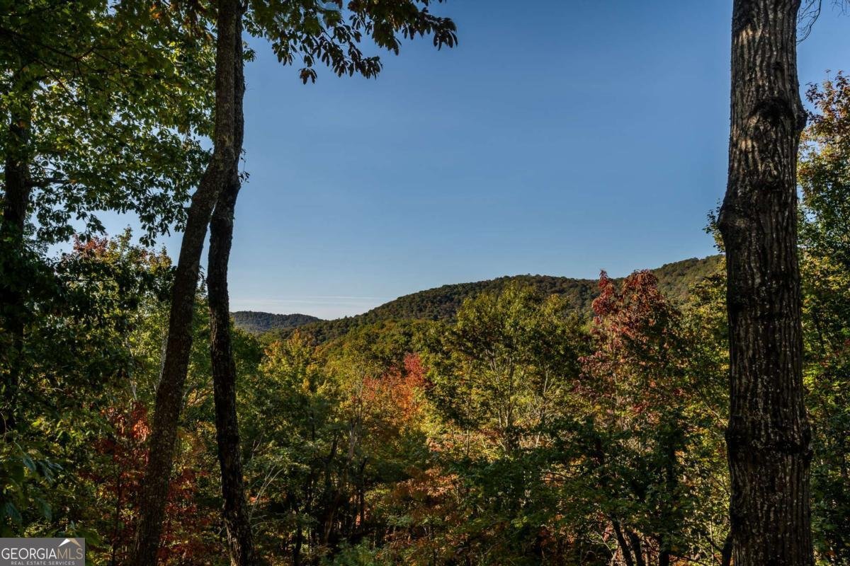 357 Skyline Drive Cherry Log - 54