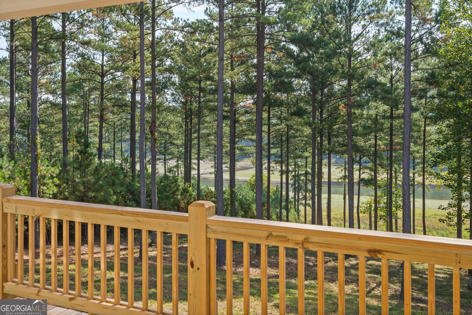 479 Sandy Lake Lane Blairsville - 19