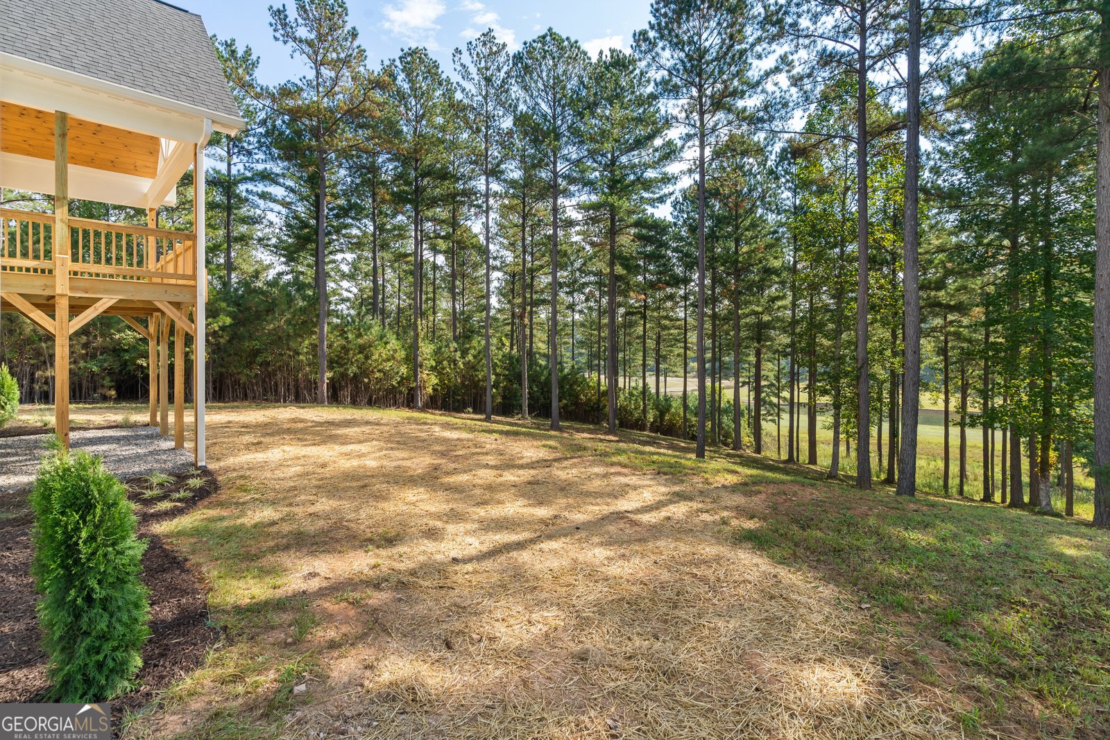 479 Sandy Lake Lane Blairsville - 25