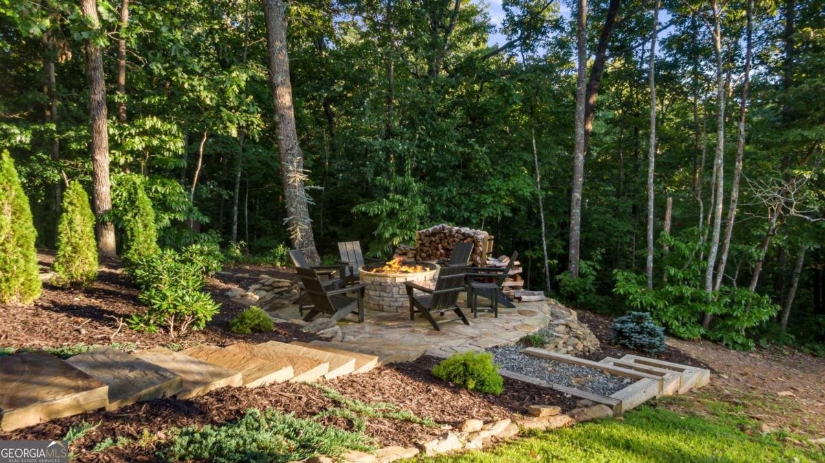 361 June Bug Lane Blue Ridge - 10