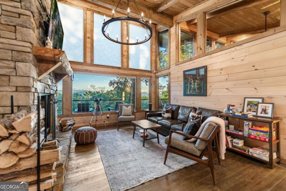 361 June Bug Lane Blue Ridge - 16