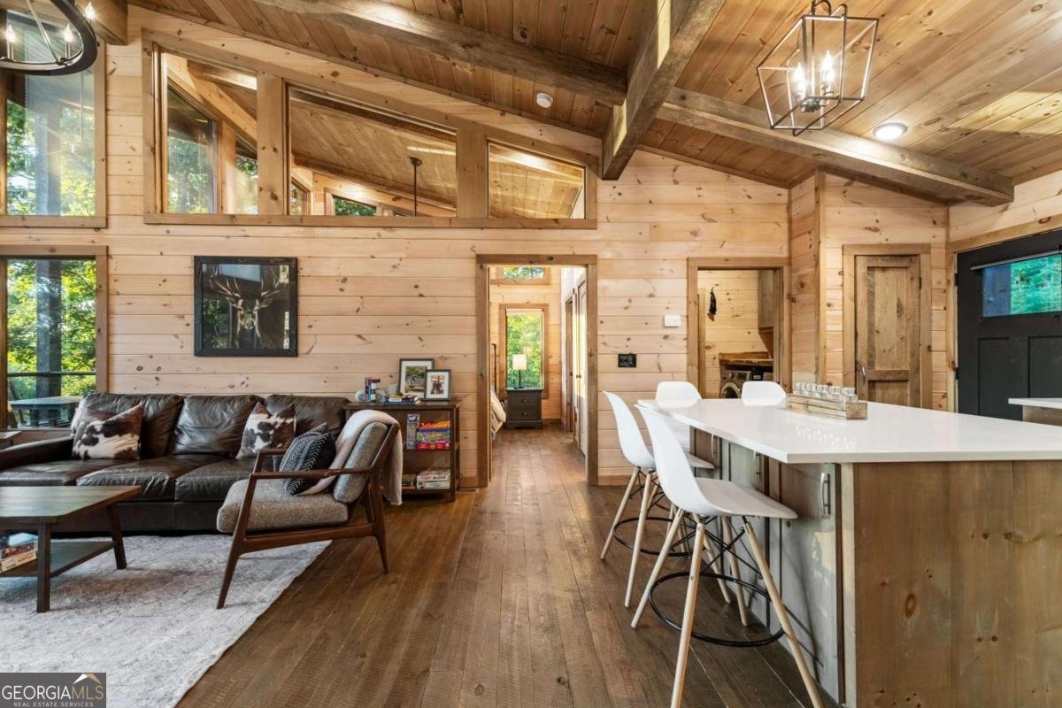 361 June Bug Lane Blue Ridge - 18