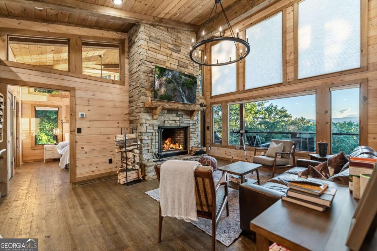 361 June Bug Lane Blue Ridge - 19