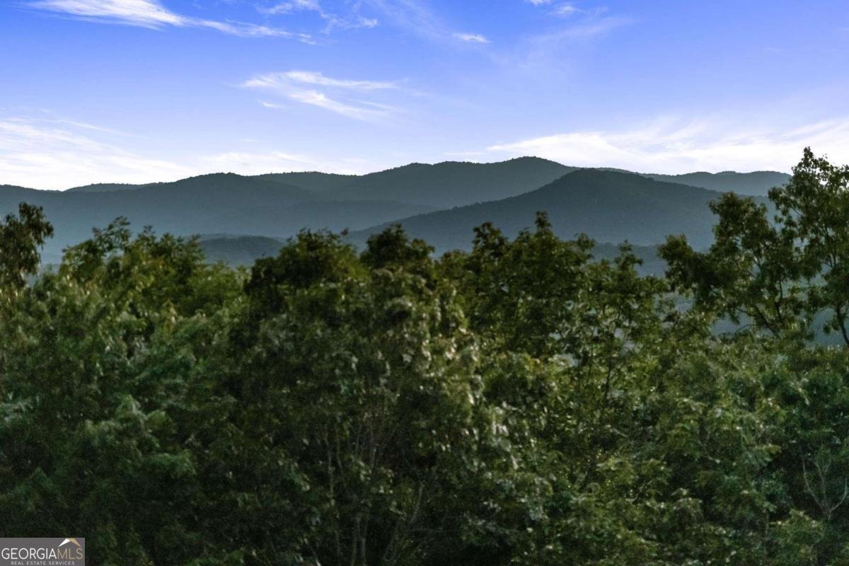 361 June Bug Lane Blue Ridge - 2