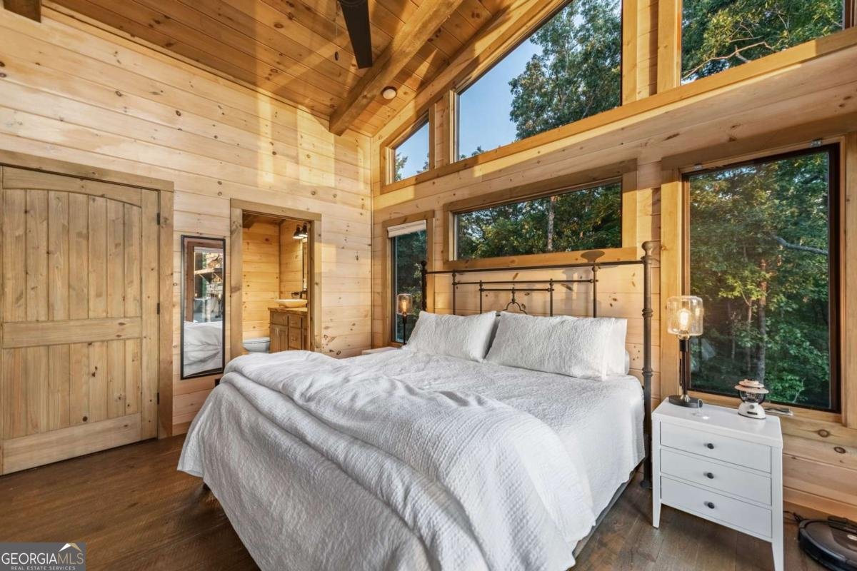 361 June Bug Lane Blue Ridge - 22