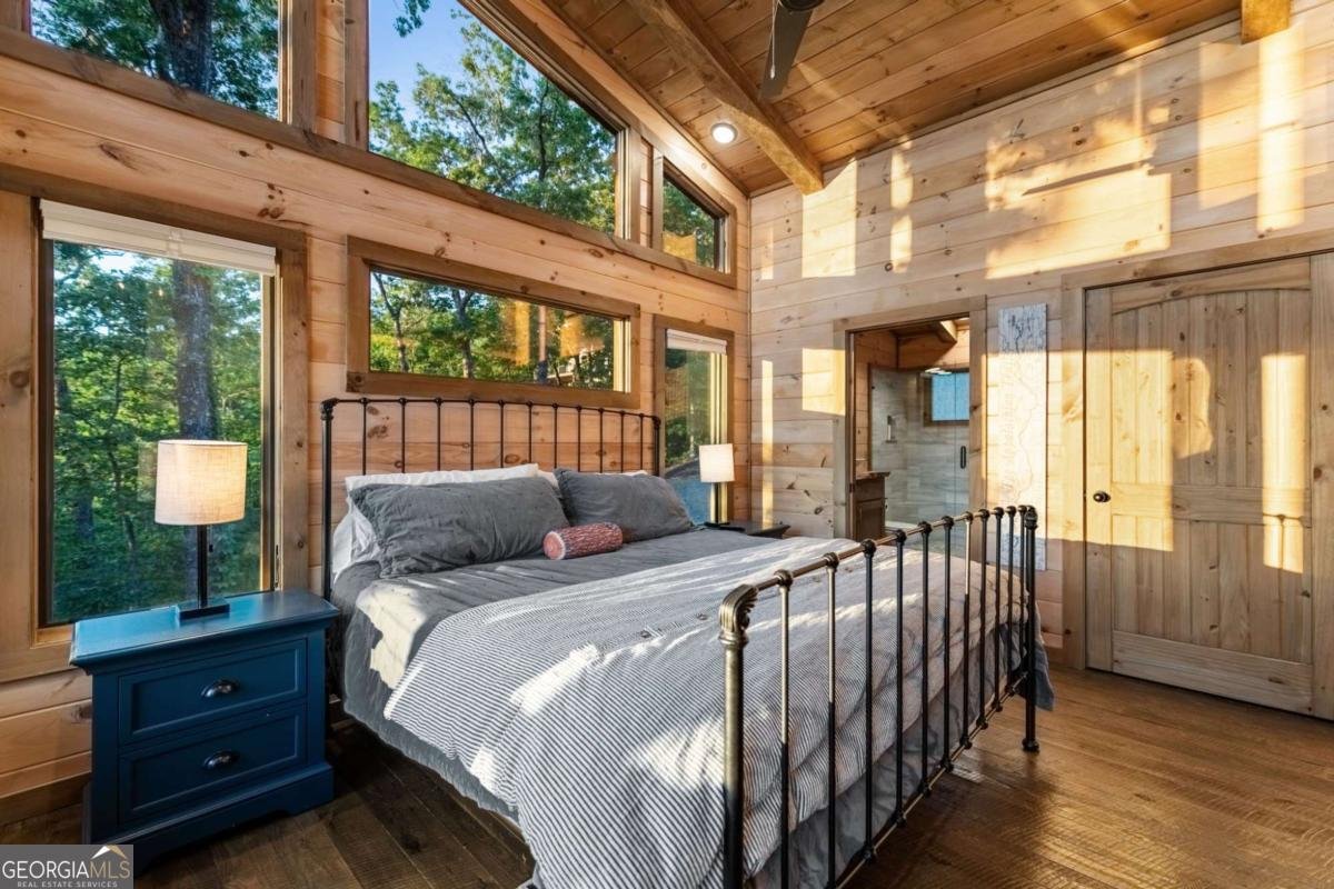 361 June Bug Lane Blue Ridge - 29