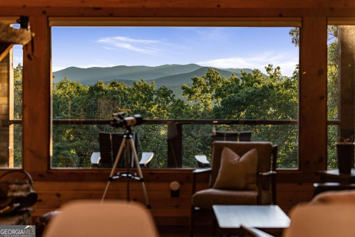 361 June Bug Lane Blue Ridge - 3