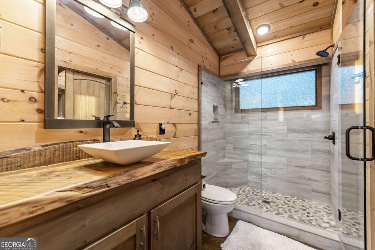 361 June Bug Lane Blue Ridge - 30