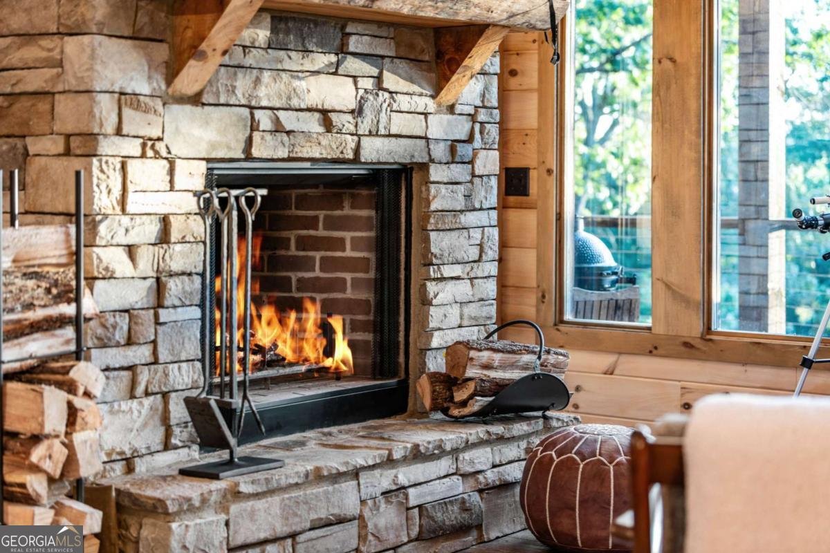 361 June Bug Lane Blue Ridge - 32