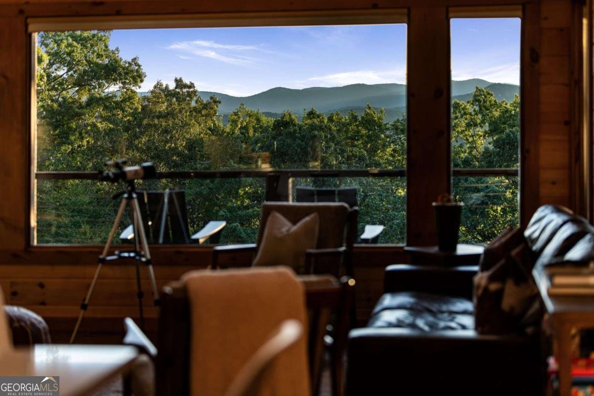 361 June Bug Lane Blue Ridge - 33