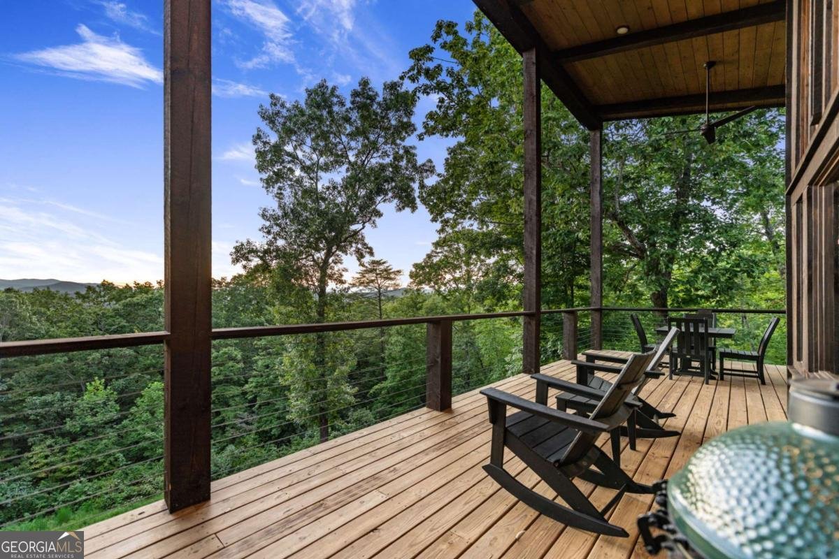 361 June Bug Lane Blue Ridge - 40