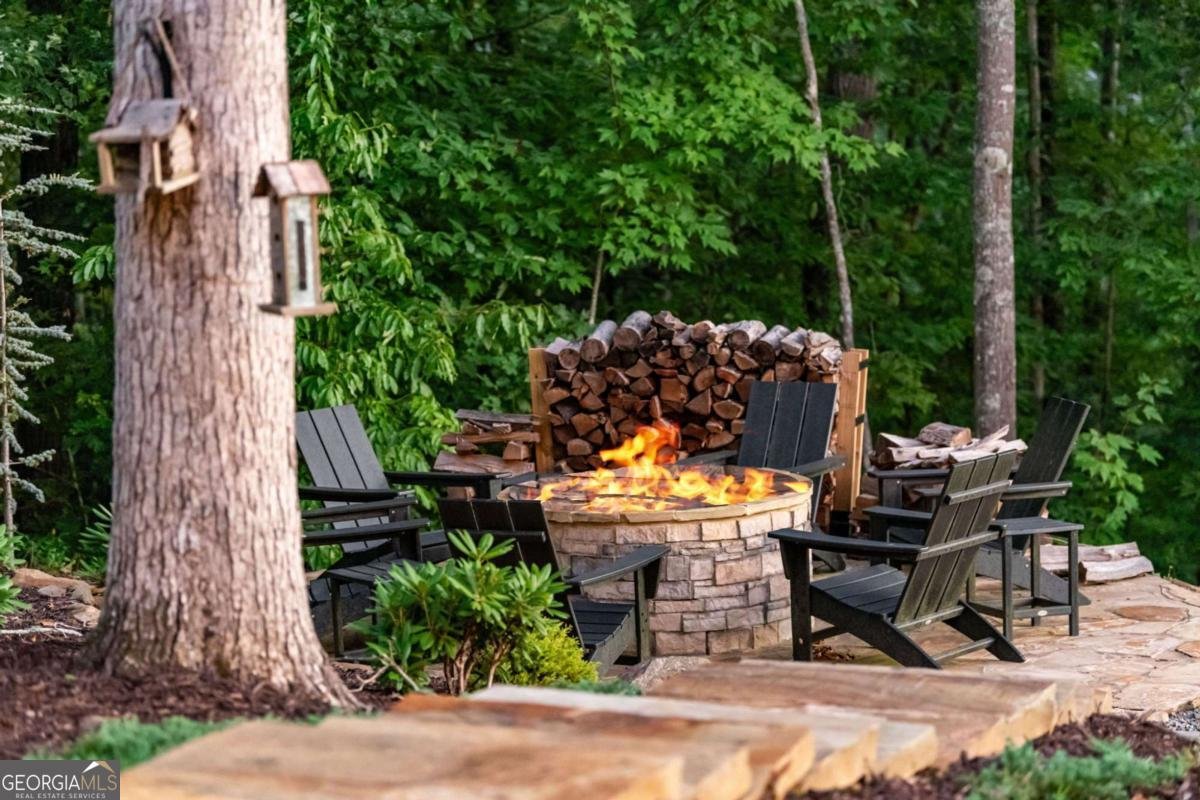 361 June Bug Lane Blue Ridge - 47