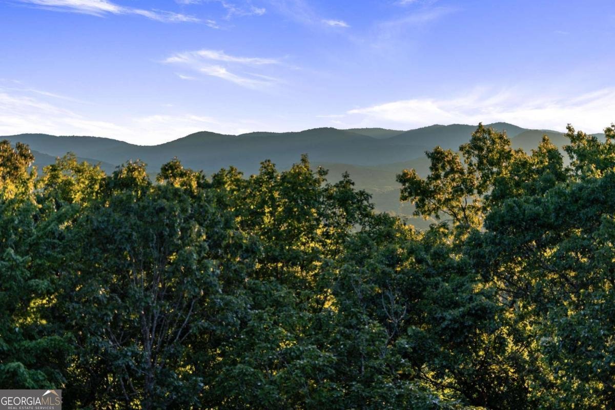 361 June Bug Lane Blue Ridge - 48