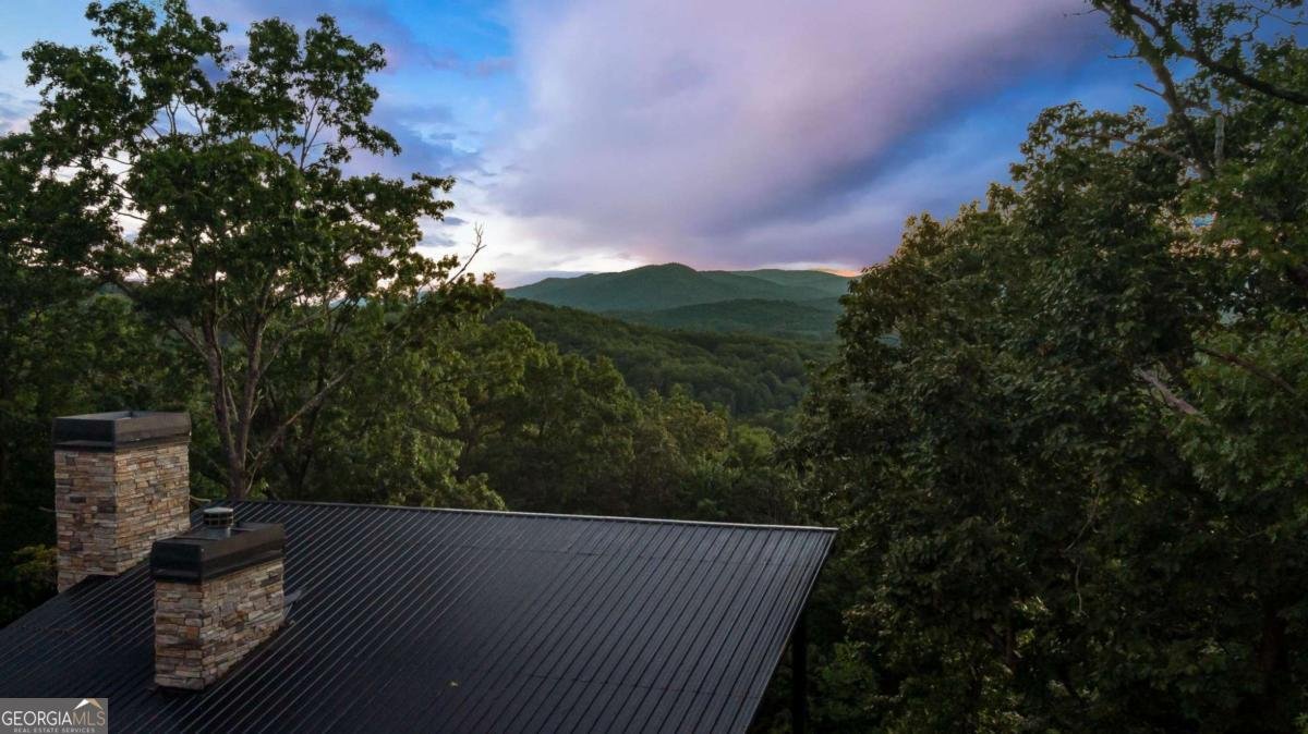 361 June Bug Lane Blue Ridge - 51