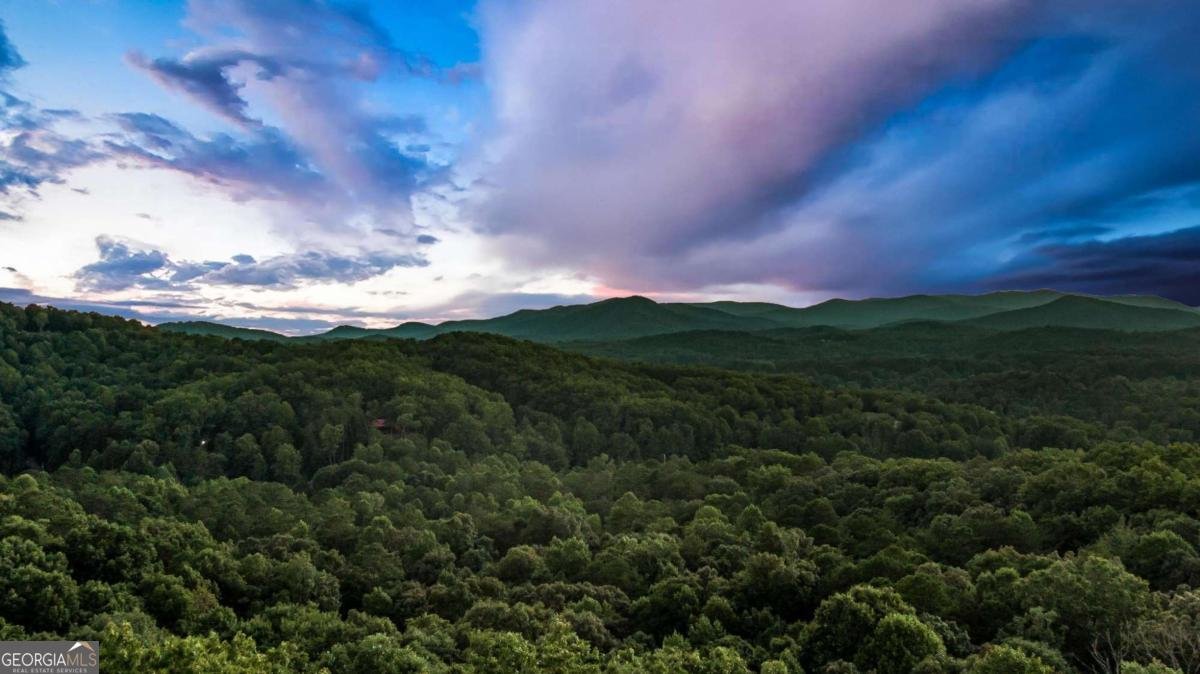 361 June Bug Lane Blue Ridge - 52