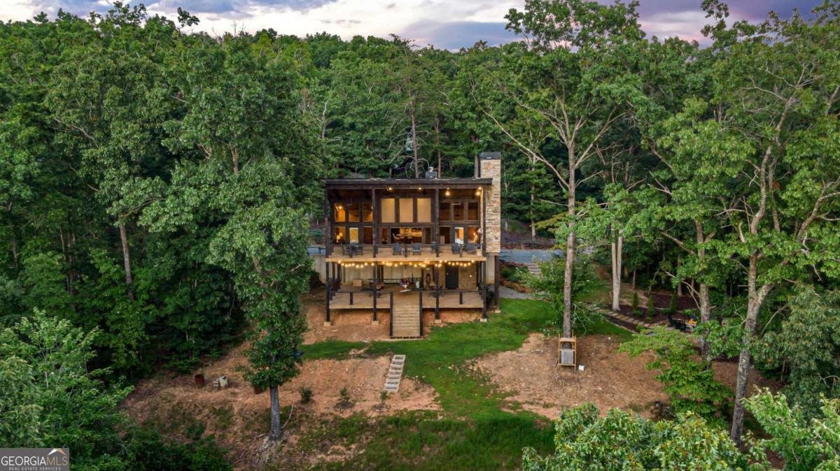 361 June Bug Lane Blue Ridge - 55