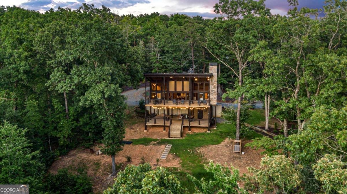 361 June Bug Lane Blue Ridge - 56