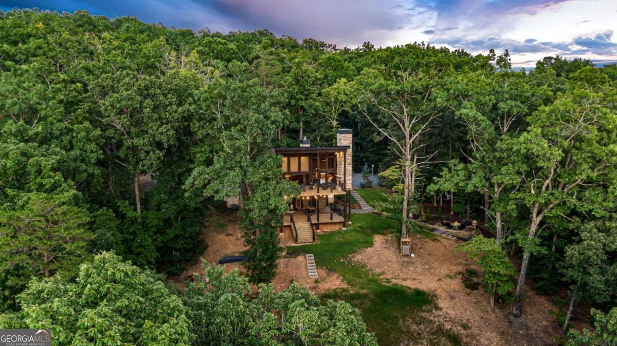 361 June Bug Lane Blue Ridge - 57