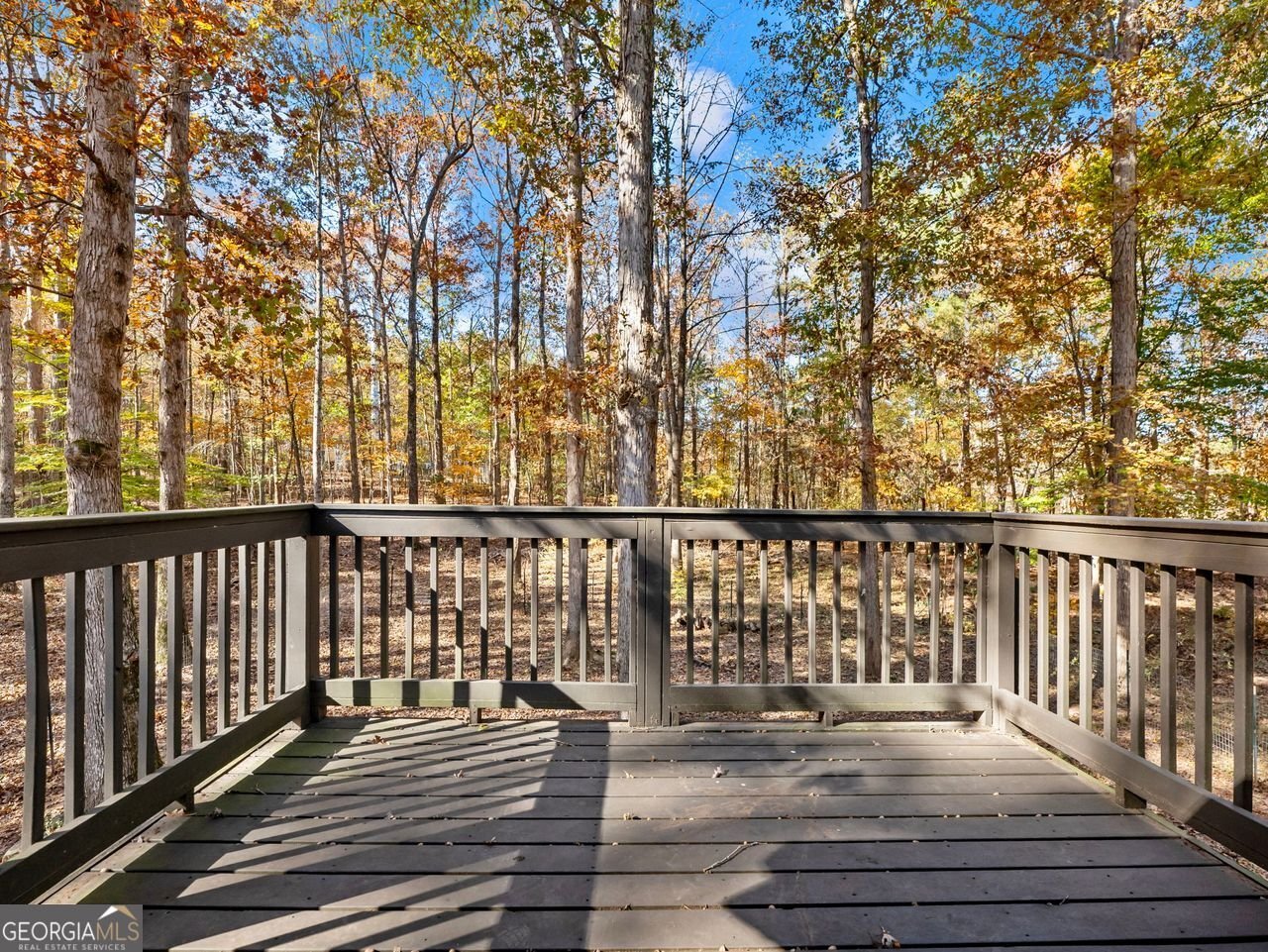 222 HEMLOCK Drive Stockbridge - 27