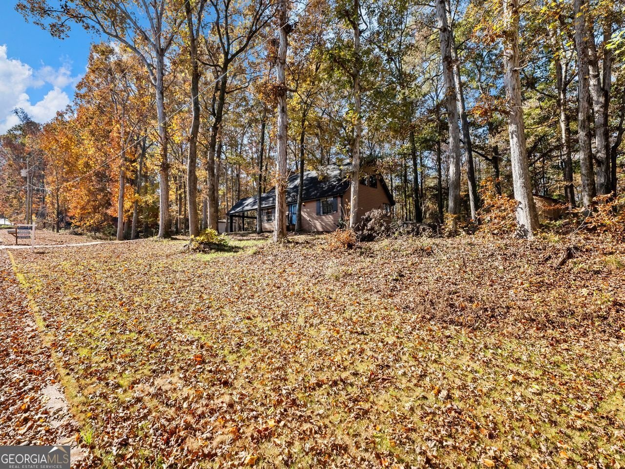 222 HEMLOCK Drive Stockbridge - 32