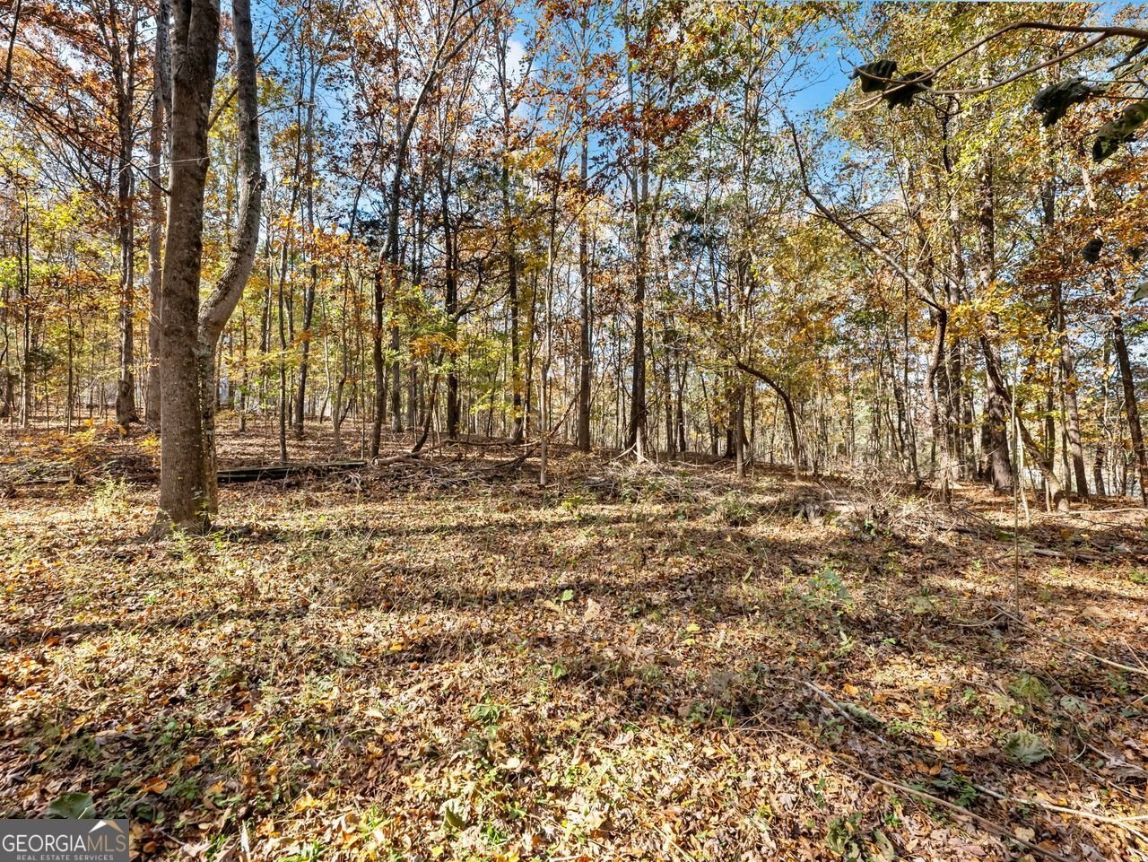 222 HEMLOCK Drive Stockbridge - 7