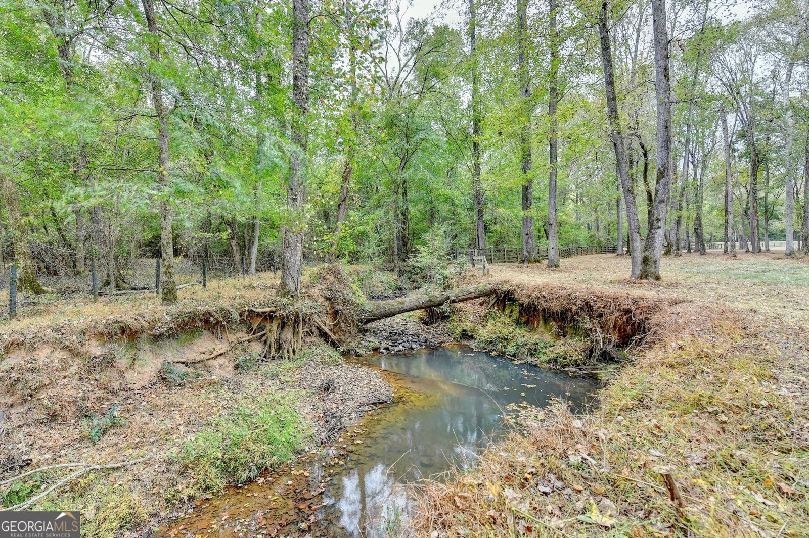 1174 Bear Creek Road Moreland - 21