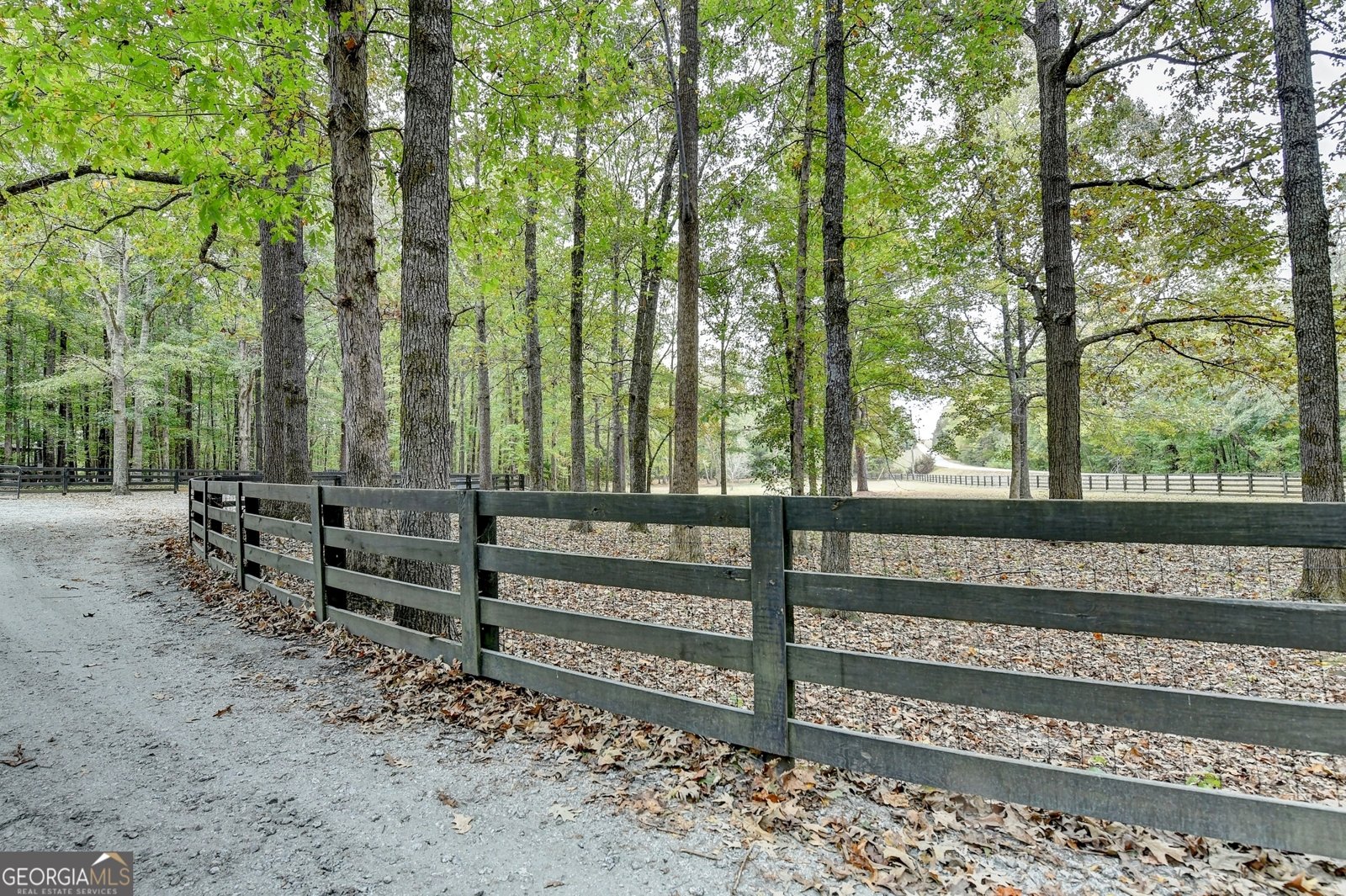 1174 Bear Creek Road Moreland - 9