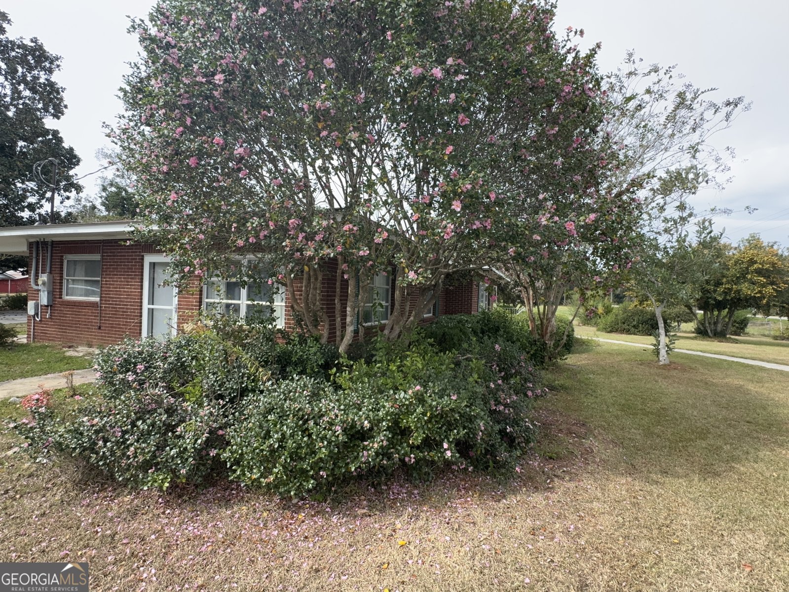 465 Cedar Street Metter - 75