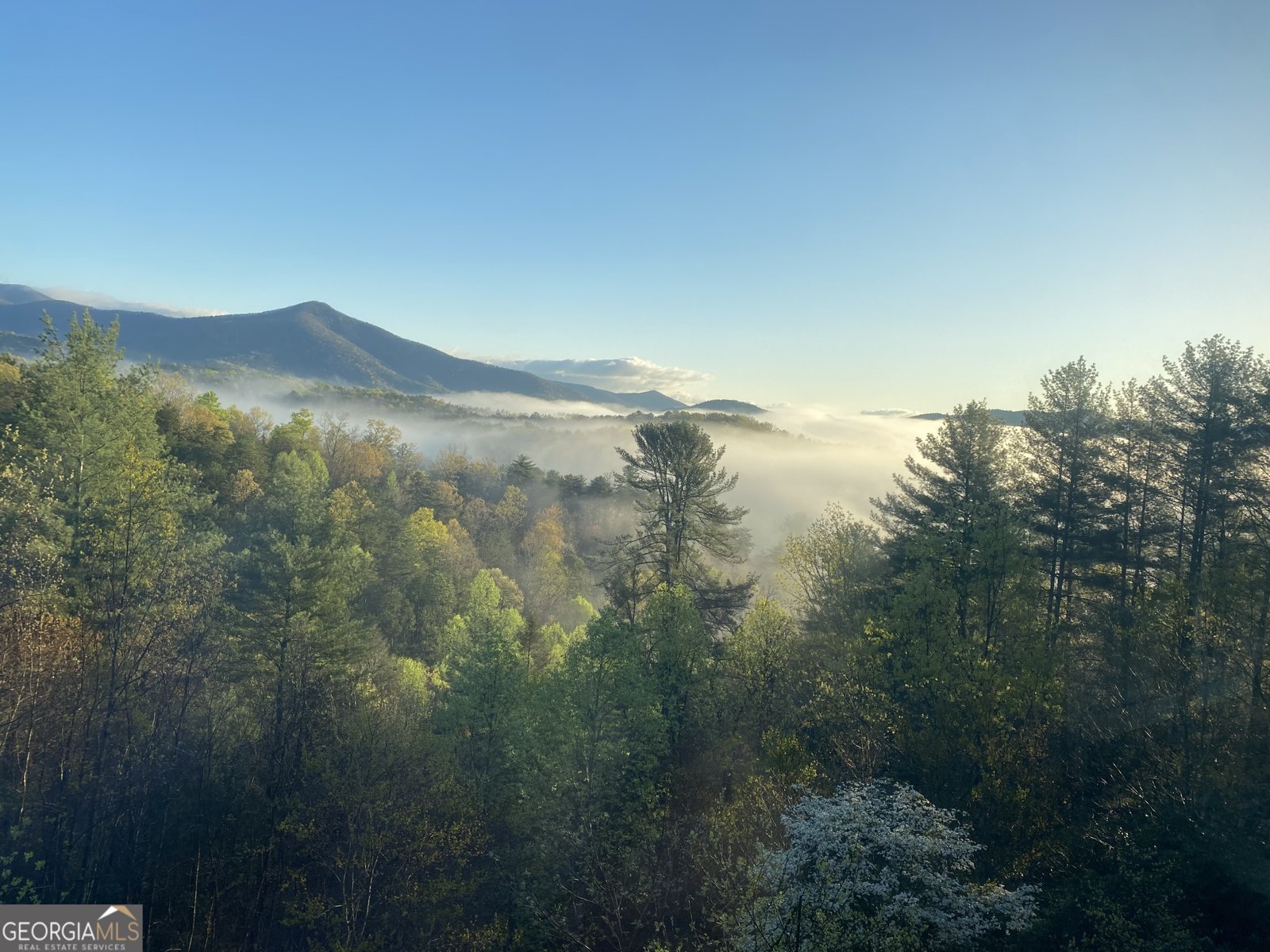 962 Woodbrier Sautee Nacoochee - Photo 53