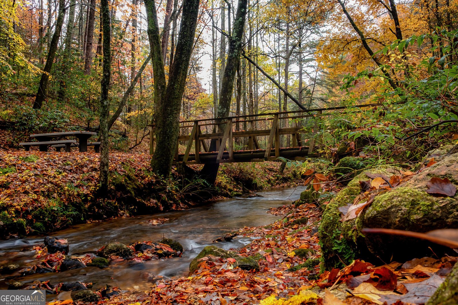 962 Woodbrier Sautee Nacoochee - Photo 62