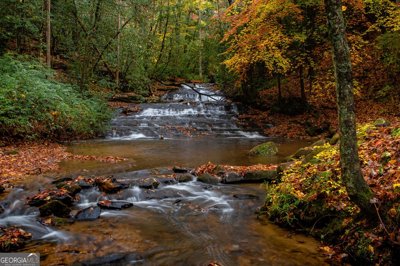 962 Woodbrier Sautee Nacoochee - Photo 64