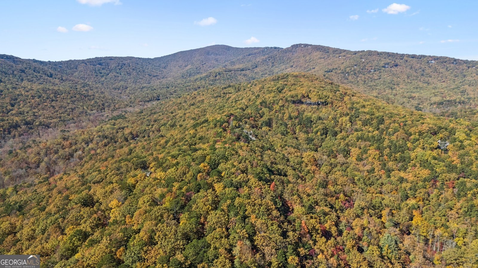 101 Treetopper Circle Jasper - 32