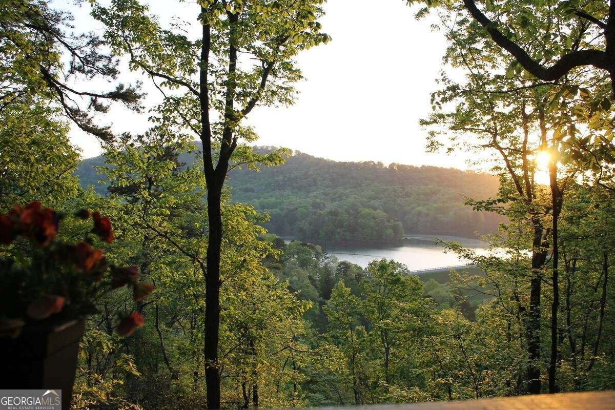 101 Treetopper Circle Jasper - 4