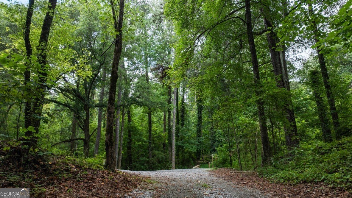 5979 Skylar Drive Atlanta - 60