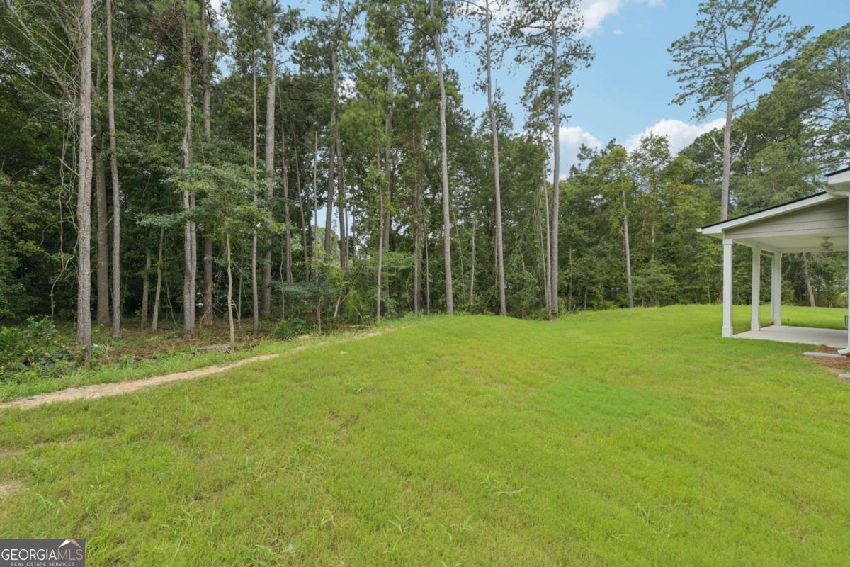 1361 Stephens View Drive Loganville - 42